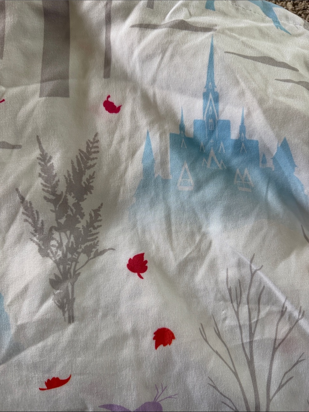 Frozen sheets - Picture 2 of 4